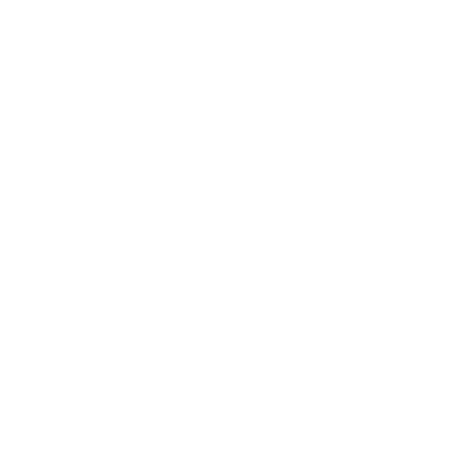tripwiz.biz